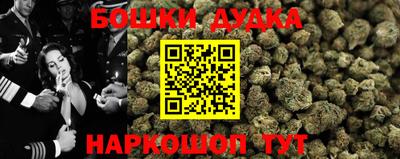 крисы Лесосибирск