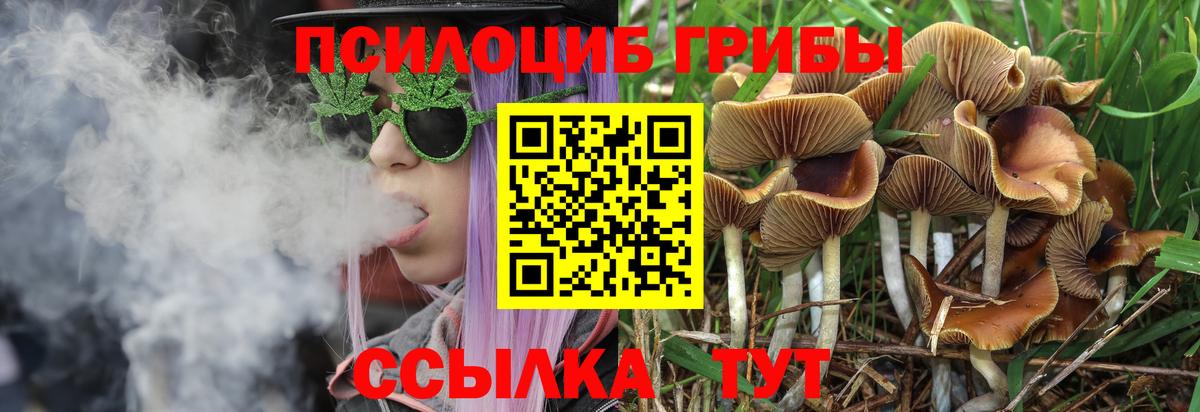 Галлюциногенные грибы ЛСД Феодосия